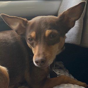 Meet your Posher, Candace